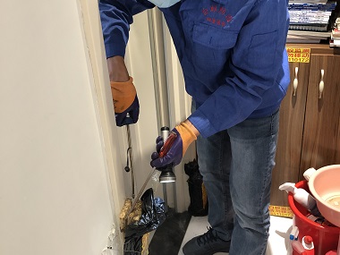 沙田白蚁消杀所：冬季是灭白蚁的最好时机